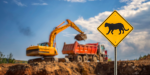 Panther x-ing sign with construction happening in the background with backhoe and dumptruck.